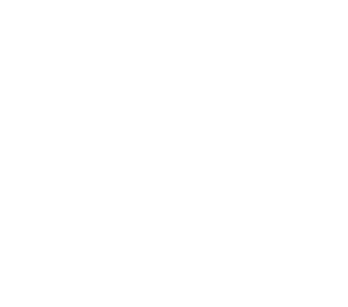 WGuard Logo
